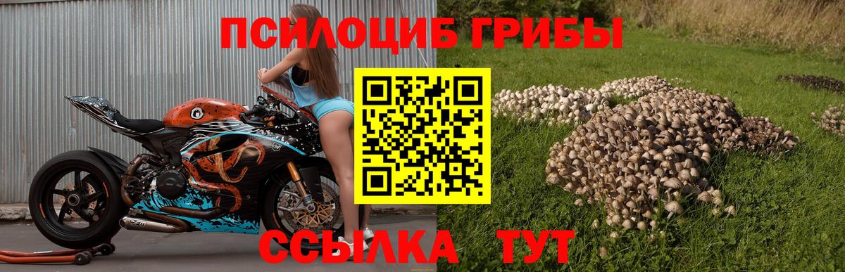 Пенза  Галлюциногенные грибы GOLDEN TEACHER  Вход с VPN 